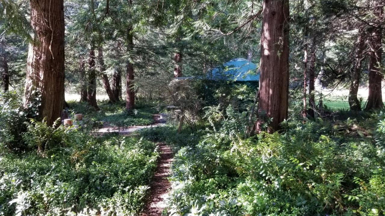 בית הארחה Metchosin 	Sacred Pilgrimage Studio מראה חיצוני תמונה
