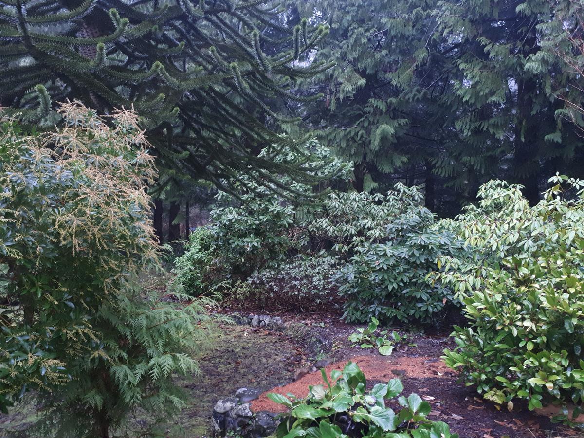 בית הארחה Metchosin 	Sacred Pilgrimage Studio מראה חיצוני תמונה